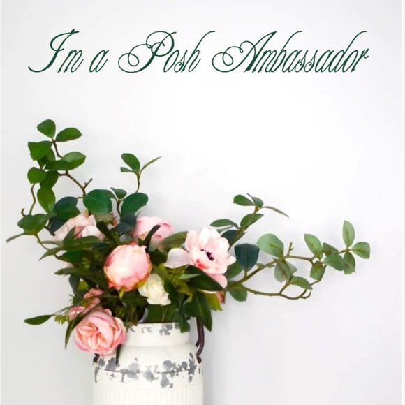 I am a Posh Ambassador! - Picture 1 of 1